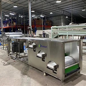 Máquina clasificadora de arándanos a Chile