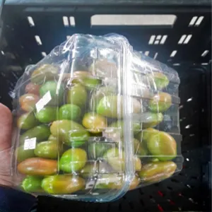 línea de envasado de frutas pequeñas