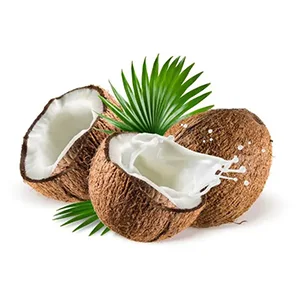Price of coconut sorter