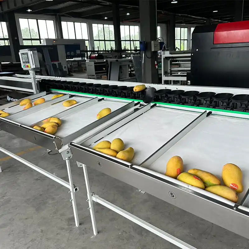 Multi-function fruit weight sorting machine