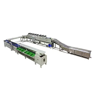 Customized avocado cleaning and grading line for Myanmar customers is ready