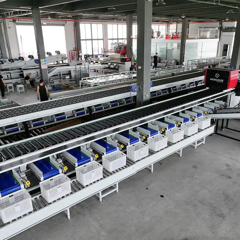 ¡Línea de clasificación óptica de batatas austriacas completada!