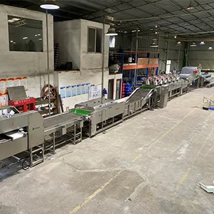 Gran lÃnea de procesamiento de lÃmon para el cliente mexicano