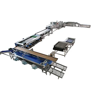Sweet potato cleaning drying sorting packing line
