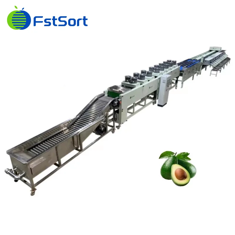 Las exportaciones de aguacate peruano llegan a su fin