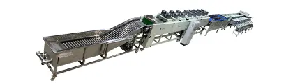 Avocado Washing Drying Waxing Grading Line - FstSort