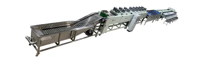 Avocado Washing Drying Waxing Grading Line - FstSort