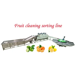 Fruit washing drying grading machine sold to Egypt