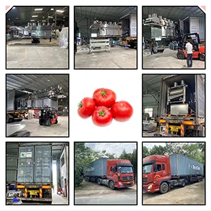 The tomato washing and drying machine sold to Korea was shipped