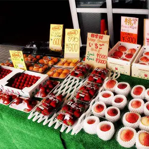 Why are Japanese fruits so expensive