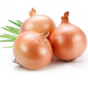 How much does it cost to buy an onion classifier