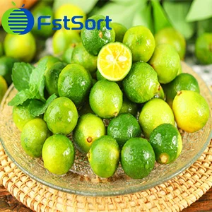 Pequeño o grande kumquat