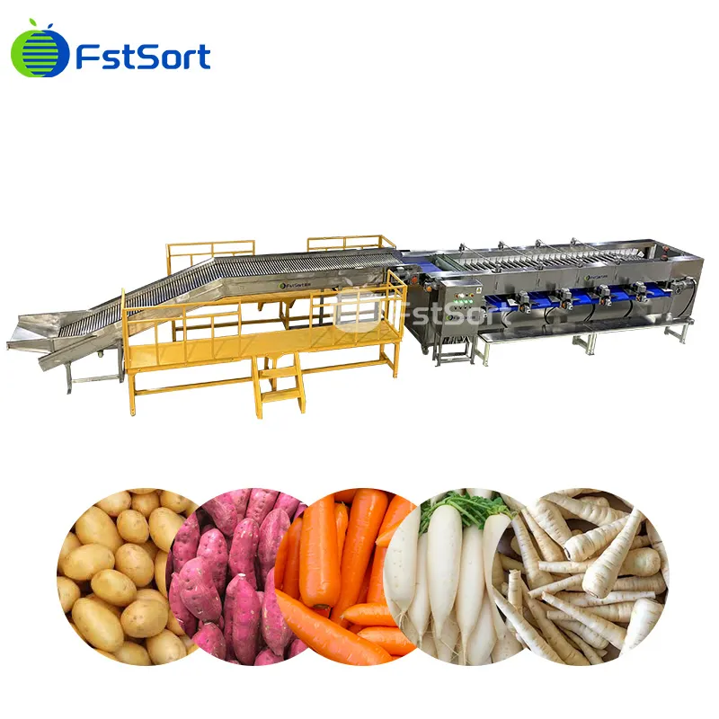 Clasificadora de Papas