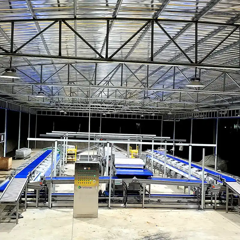 Fruits grading and packing line