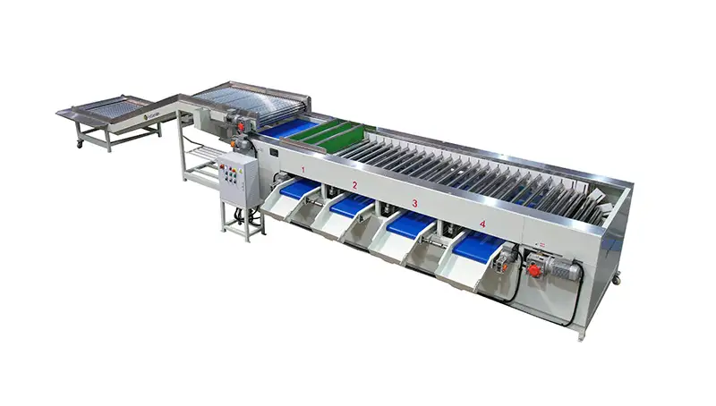 Fruit&Vegetable Rolling Sizing Machine for Sorting Sour Cherry Apricot  Jujube - China Pomelo Sorting Machine, Mandarin Sorting Machine