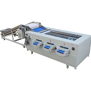 Popular potato grader in the Thai market