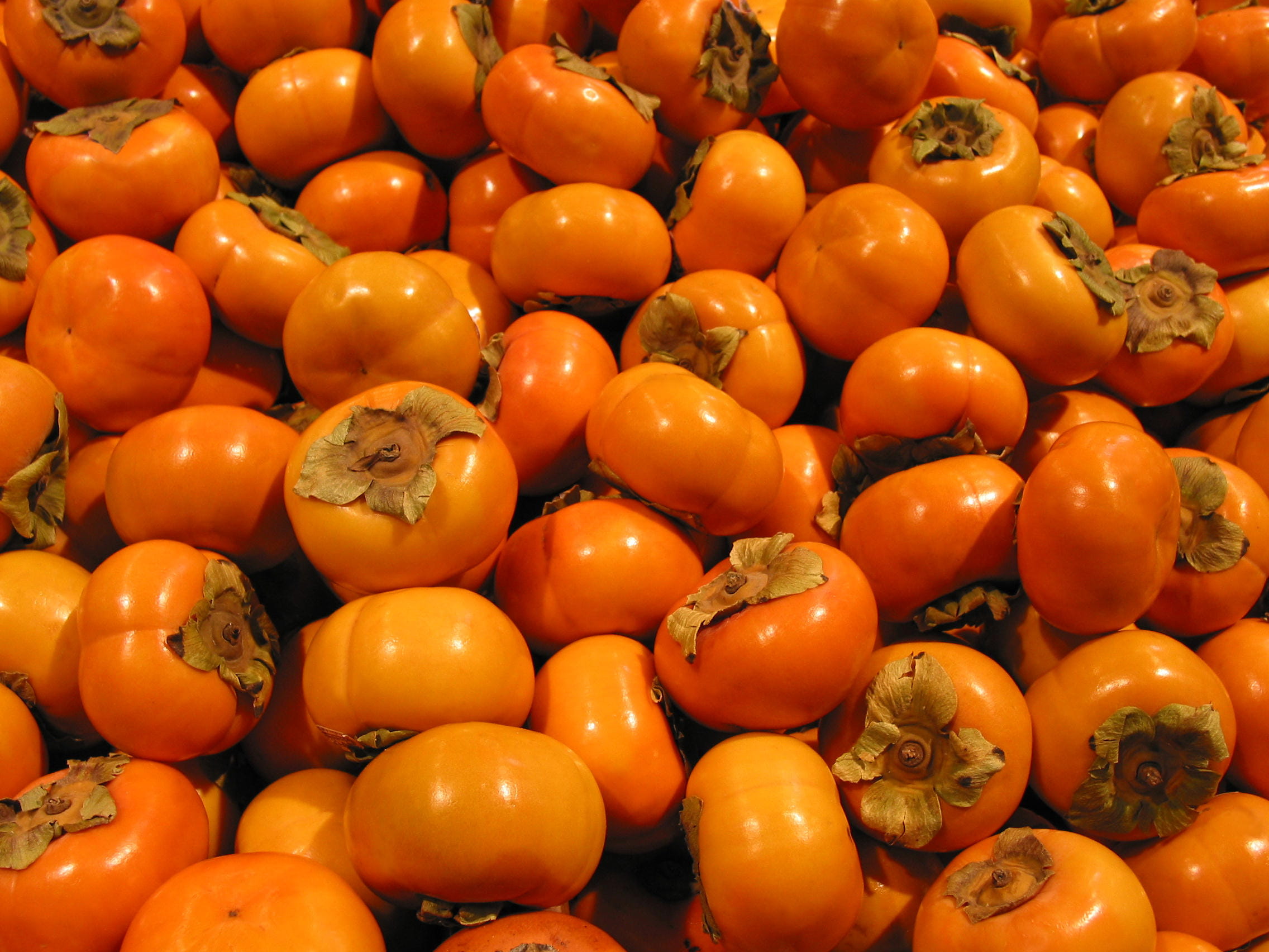 Spanish persimmons，fruit processing, including fruit cleaning, air-drying, grading, pre-cooling, photoelectric sorting,