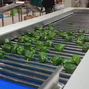 Helper for green pepper packaging