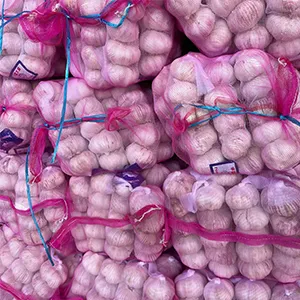 Six key steps for pre shipment handling of garlic