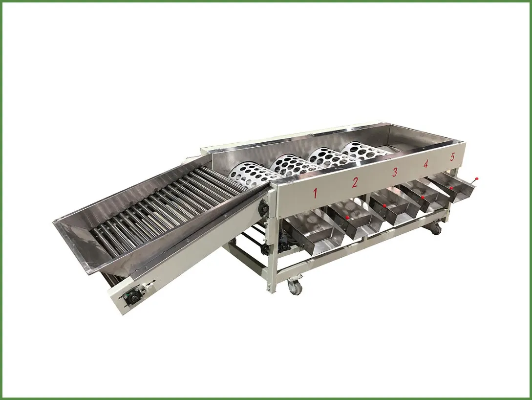 Mandarin grading machine