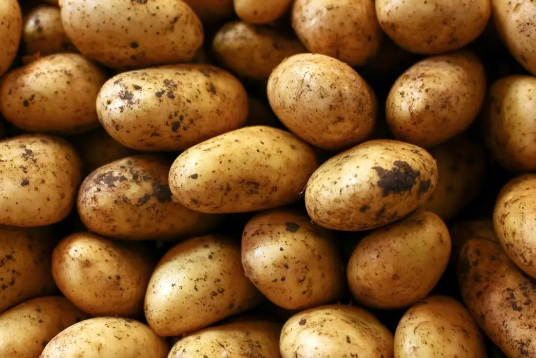 Potato prices are accelerating in Ukraine