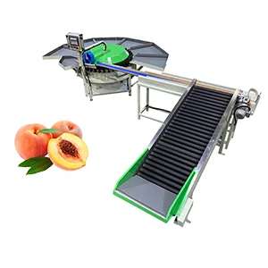 Clasificadora de peso de melocotón con disco