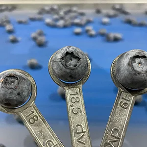 king of berries are sorted in this way