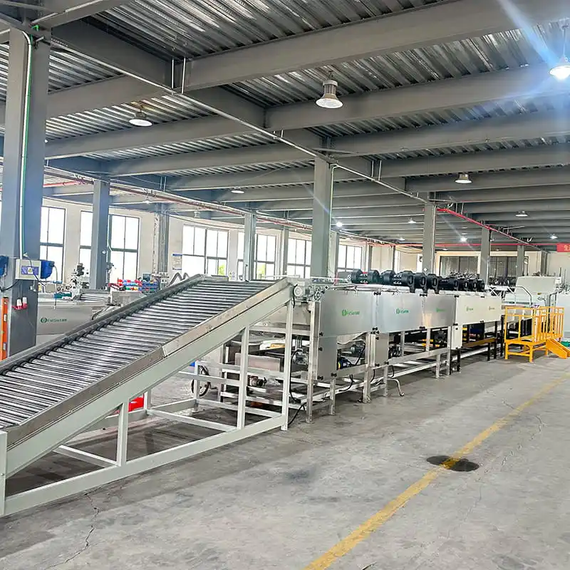 Fruits Washing Drying Waxing and Sorting Line
