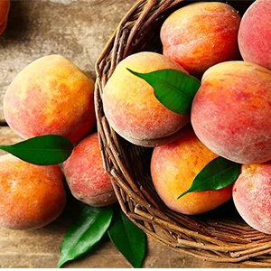 Global peach production has reached a record high of 22.3 million tons this season