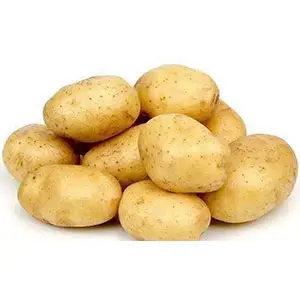 How to increase potato yield