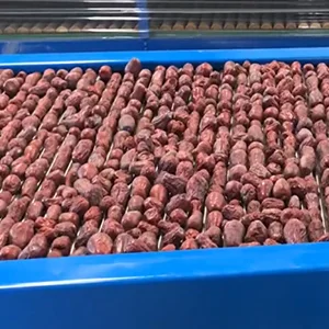 Dates or Jujubes Cleaning Sorting Machine