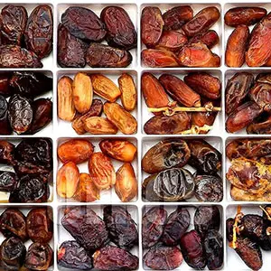 Date palm: an important crop in the Middle East