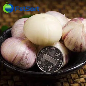 The Most Popular Garlic Classifier In The Korean Market
