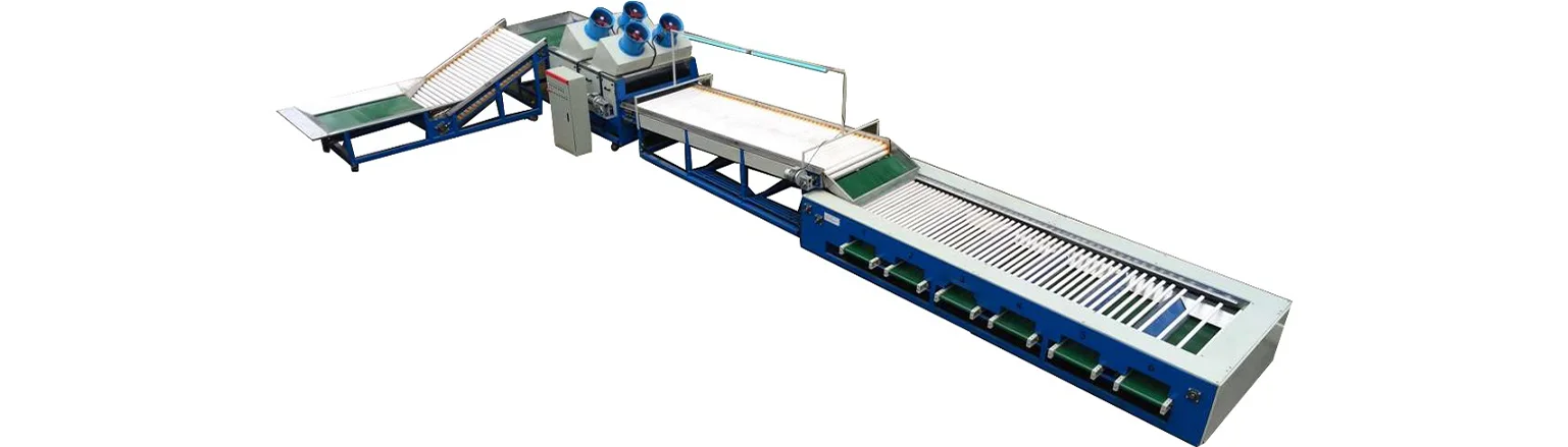 Potato cleaning sorting inspection line - FstSort