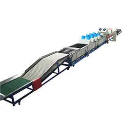 Tanzania Customer visited avocado processing line