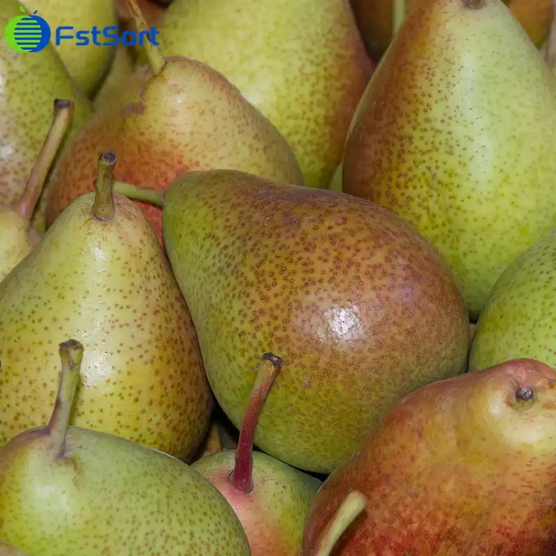 How to effectively sort South African fresh pears