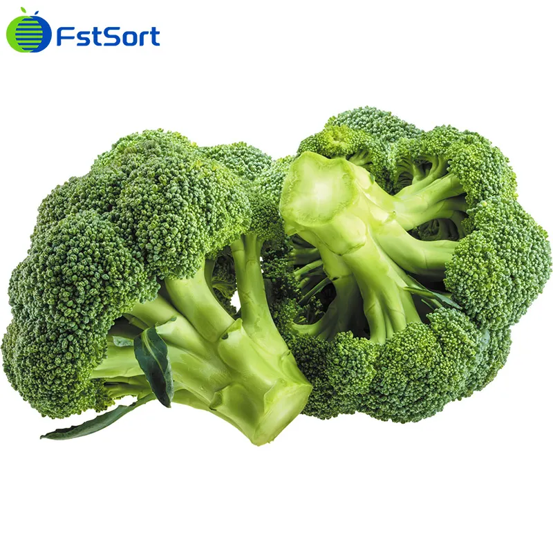 Broccoli can help to inhibit COVID-19 replication