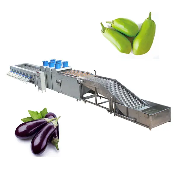 Customer Care Program--provide free medical masks to our customers