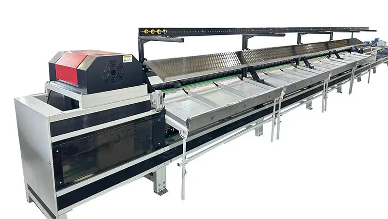 Crece la demanda de equipos de clasificación de aguacates en Kenia