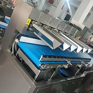 Máquina empacadora de verduras