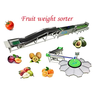Rotary apple weight sorting machine