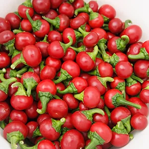 Cherry pepper cleaning sorting line