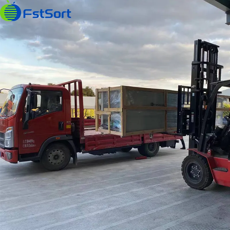 How to Sort to Improve Blueberry Yield