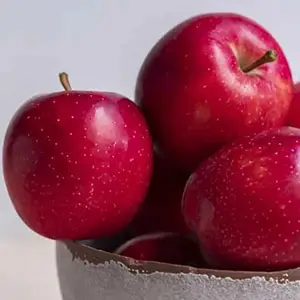 South African Apple: Gala new products will reshape export supply