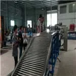 Indonesian client came to inspect mangosteen sorting machine